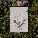 Summer flowers